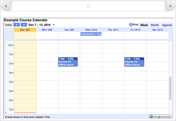 A Google Calendar in the course body.
